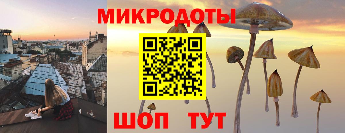 Псилоцибиновые грибы мицелий  Вход с VPN  Комсомольск-на-Амуре 